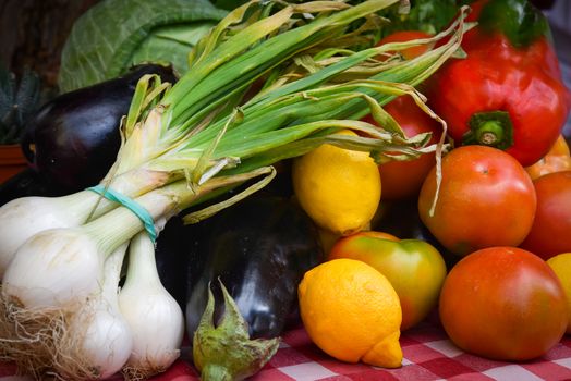 Colourful image of mixed fresh homegrown fruit and vegetables .