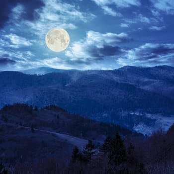mountain autumn landscape. pine trees near meadow and forest on hillside at night in full moon light