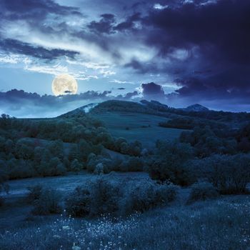mountain autumn landscape. trees near meadow and forest on hillside under  sky with clouds at night in full moon light