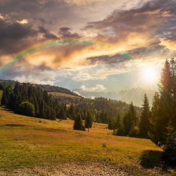 slope of mountain range with coniferous forest at sunset with rainbow