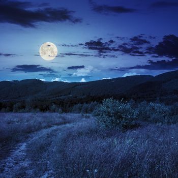 mountain summer landscape. meadow and forest on hillside under  sky with clouds at night in moon light