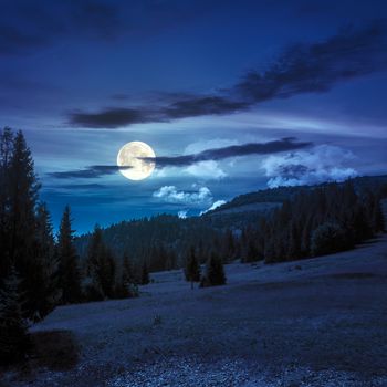 slope of mountain range with coniferous forest  at night in full moon light