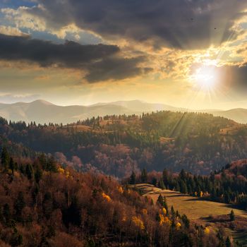 autumn landscape. slope of mountain range with coniferous forest at sunset