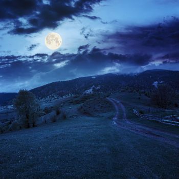 summer landscape. fence near the meadow path on the hillside. forest in fog on the mountain at night  in full moon light