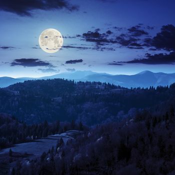 autumn landscape. slope of mountain range with coniferous forest at nght in full moon light