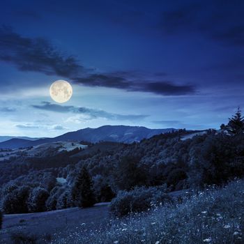 mountain summer landscape. pine trees near meadow and forest on hillside under  sky with clouds at night