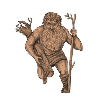 Tattoo style illustration of a leshy or Leshiye , a tutelary spirit of the forests in Russian or Slavic folklore holding tree trunk and staff viewed from front on isolated white background. 