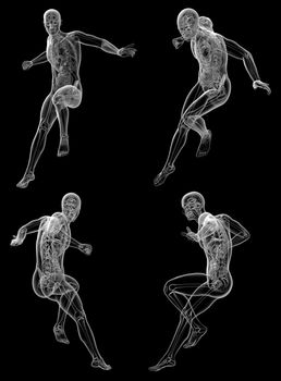 3d rendering medical illustration of the human anatomy 