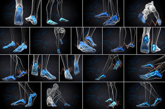 3d rendering medical illustration of the foot bone 