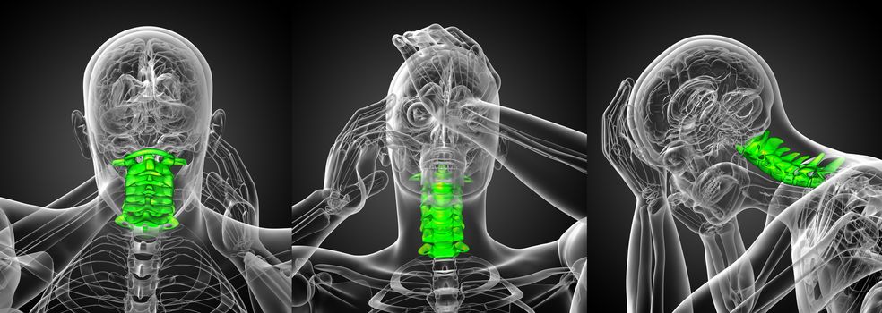 3d rendering medical illustration of the cervical spine