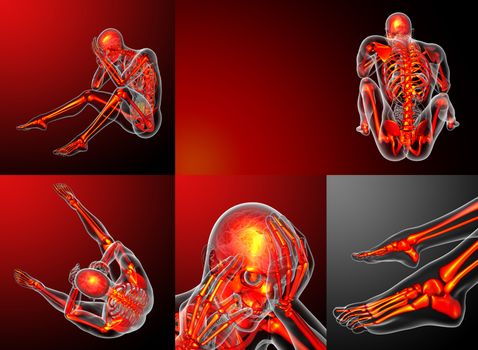 3d rendering medical illustration of the human skeletonl