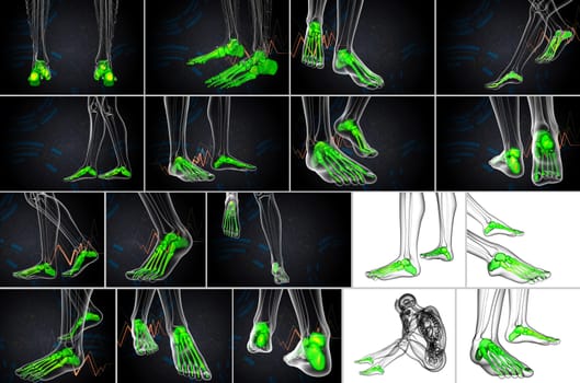3d rendering medical illustration of the foot bone 