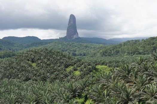 Summit of Cao Grande, Sao Tome and Principe, Africa