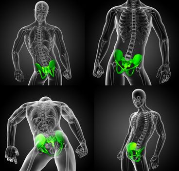 3d rendering medical illustration of the hip bone 