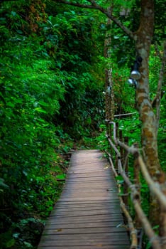 Footpath in the mountains of Krabi Thailand