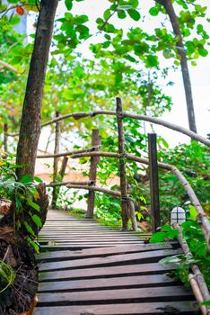 A wooden path in the mountains of Thailand