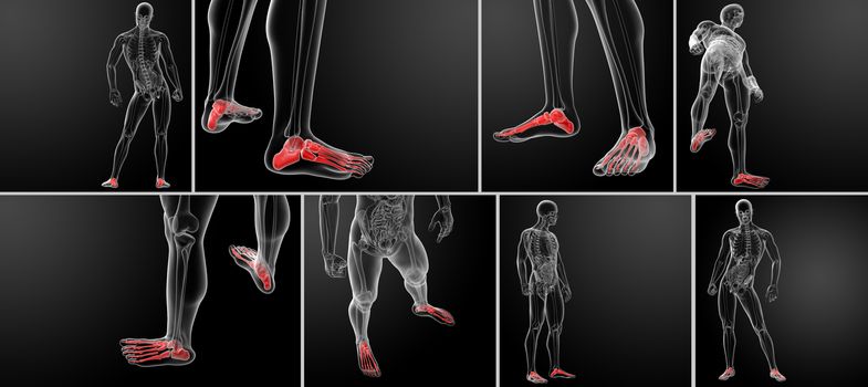 3d rendering x-ray of foot 