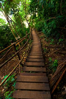 A path of wooden planks from the mountain