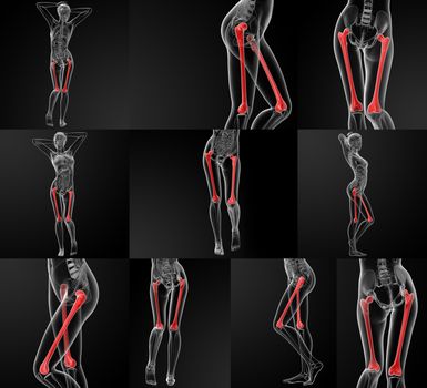 3D rendering illustration of the femur bone