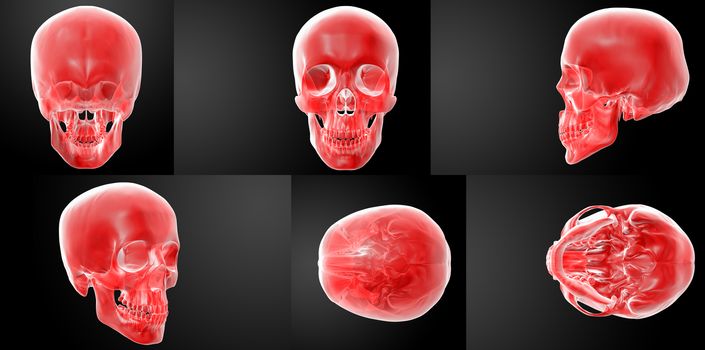 3D rendering red skull on black background