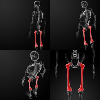 3d rendering illustration of the femur