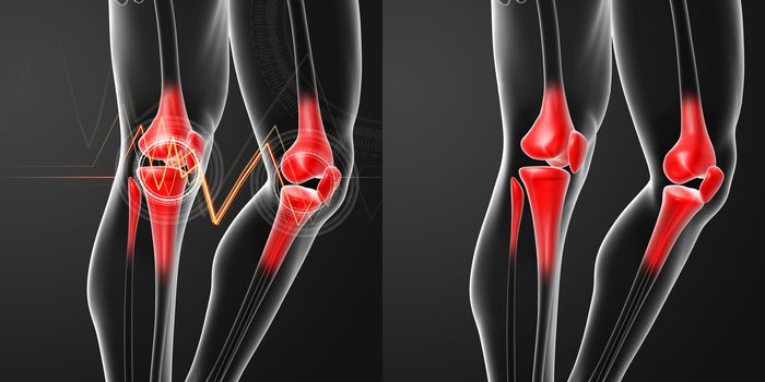 3D rendering human knee pain with the anatomy of a skeleton leg