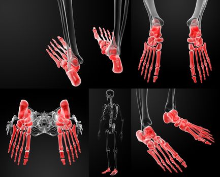 3d rendering of human foot x - ray