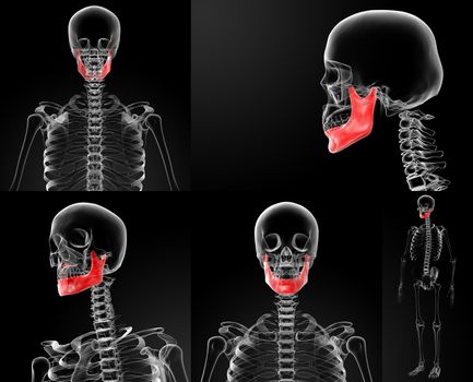 3d rendering illustration of  jaw bone