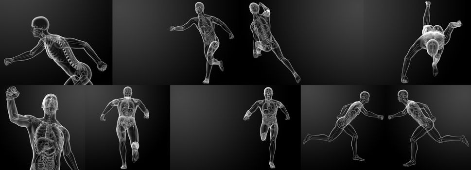 3d render running skeleton by X-rays 