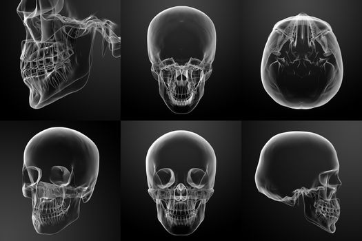 3D rendering illustration of the skull 