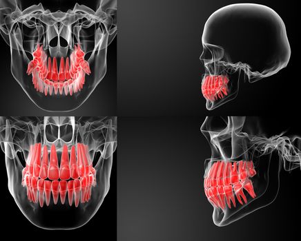 3D rendering skull with visible red teeth