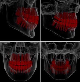 medical illustration of the tooth on background