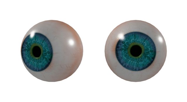 3D medical illustration of the eye
