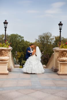 Newlyweds on a walk in the park on a warm sunny day