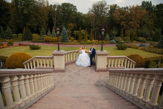 Newlyweds on a walk in the park on a warm sunny day