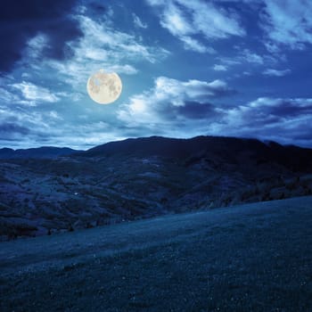 mountain summer landscape. pine trees near meadow and forest on hillside under  sky with clouds at night in moon light