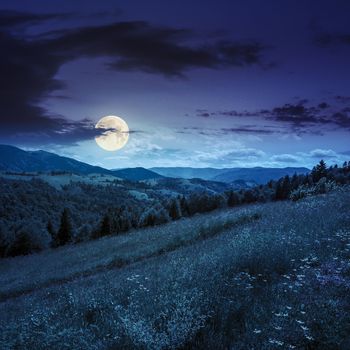 slope of mountain range with coniferous forest and village at night in moon light