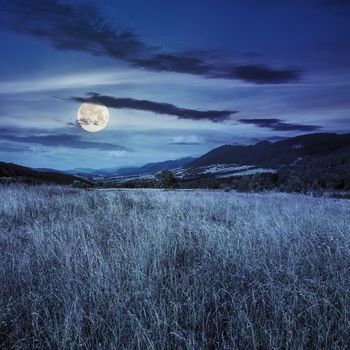 meadow in the mountains under a blue summer sky at night in full moon light