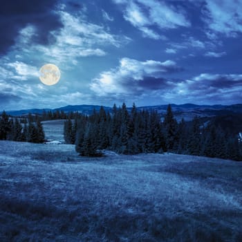 mountain summer landscape. pine trees near meadow and forest on hillside under  sky with clouds at night in full moon light