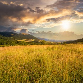 meadow in the mountains under a blue summer sky at sunset