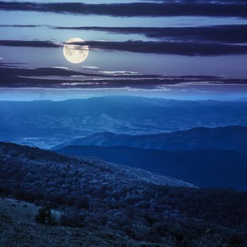 slope of mountain range with coniferous forest and village at night in full moon light