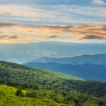 slope of mountain range with coniferous forest and village slope at sunrise