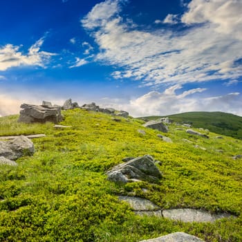 white sharp stones on the hillside