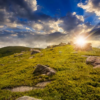 white sharp stones on the hillside at sunset