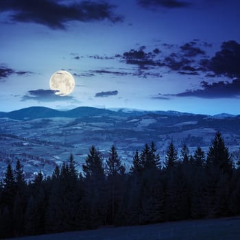 mountain summer landscape. pine trees near meadow and forest on hillside under  sky with clouds at night in full moon light