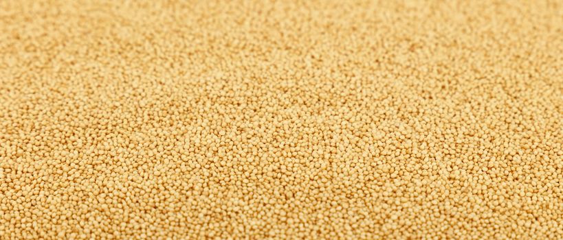 Amaranth grain seeds close up pattern background, high angle view, selective focus
