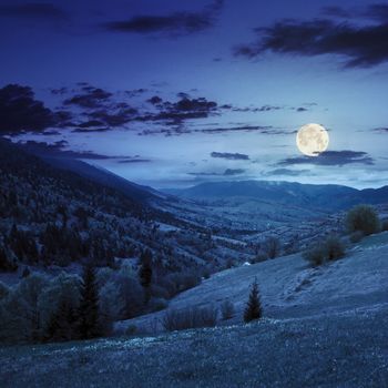 autumn landscape. village on the hillside. forest on the mountain light fall on clearing on mountains at night in full moon light
