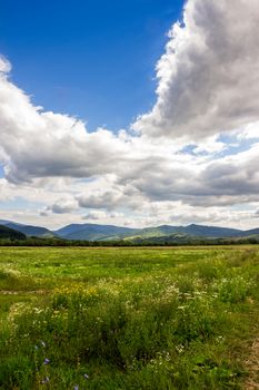 green meadow in the mountains  under a cloudy summer sky