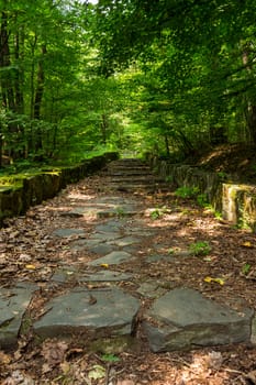 winding path with steps made ​​of stone among the trees in a city park is covered with foliage horizontal