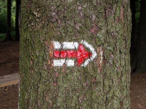 Red and white hiking arrow sign on tree trunk bark wood, typical for czech tourism, providing guidence, touristic navigation or directions